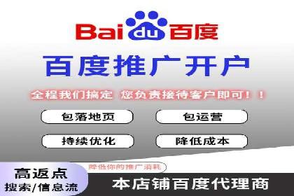 竞价广告的创意与执行：某快消品的营销突破